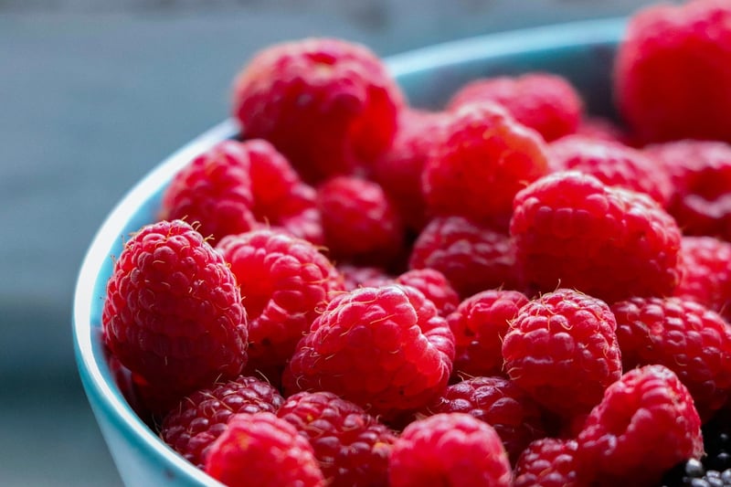 Nature-inspired cuisine